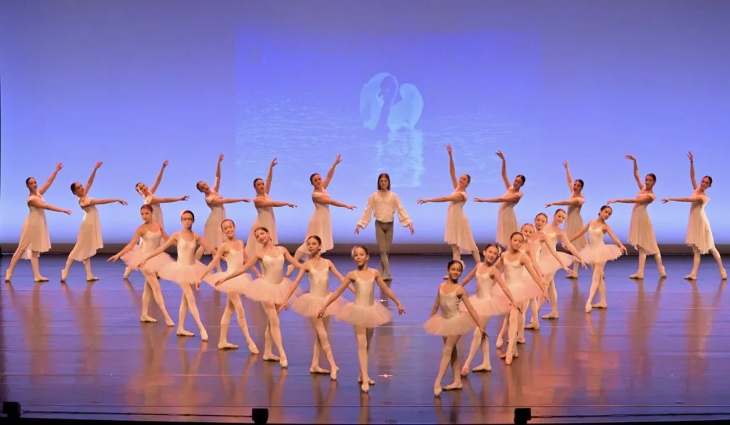 Filière Sport Études Danse (SAE)