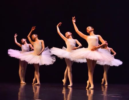 Stages et Ateliers
